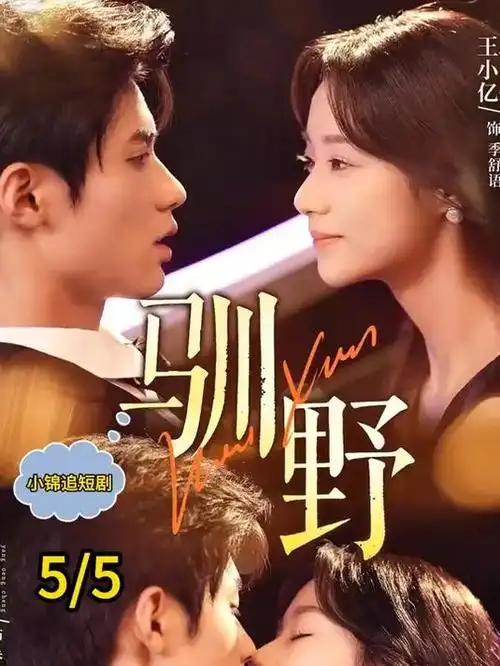 长安夜行录热播剧集榜
